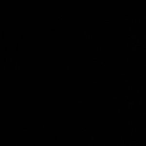 Meet your Posher, Viviana